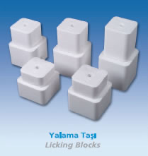 Licking Blocks